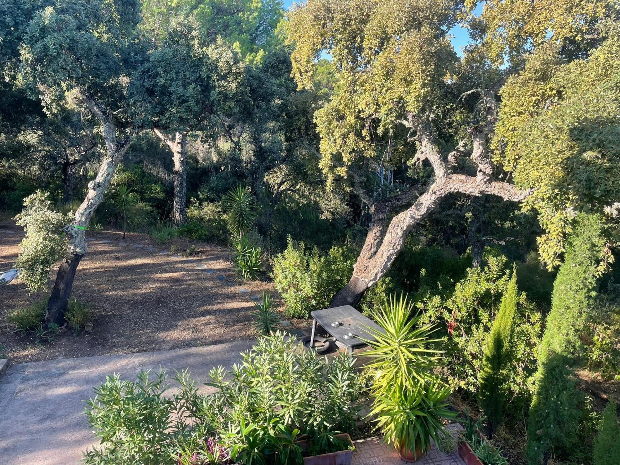 فيلا Casa San Francisco De Asis قرطبة المظهر الخارجي الصورة